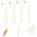 Hoement 5sets Ear Wax Removal Tools Professional Ear Cleaning Kit Ergonomic Design for Safe and Comfortable Earwax Removal Lightweight and Portable - Buy Online on GoSupps.com