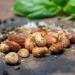 FILBERTS WILD GARLIC MIX NUTS - Buy Online on GoSupps.com