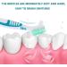 Healifty 4 Pcs Hard Denture Brush - Double Sided Toothbrush for Fake Teeth - Multi-Layered Bristles - Green - Buy Online on GoSupps.com