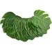 TOPBATHY Personalized Gifts 48pcs Household Decorative Items Personalised Gifts Green Medium - Buy Online on GoSupps.com