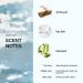Skylar Salt Air Eau de Perfume - Hypoallergenic Vegan Fragrance for Women & Men - Fresh Scent with Driftwood & Sea Salt Notes - 10mL/0.33 Fl Oz - Buy Online on GoSupps.com