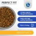 Perfect Fit Sensitive Adult 1+ Complete Dry Cat Food for Adult Cats Aged 1+ Years Rich in Turkey 1 Bag (7 kg) Adult Sensitive Turkey 7 kg (Pack of 1) - Buy Online on GoSupps.com