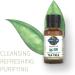 Organic Tea Tree Essential Oil 0.5 fl oz - Pure & Non-GMO for Diffuser & Aromatherapy - Buy Online on GoSupps.com