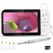 HSRG 5-inch photo camera portable LCD-USB-digital photo 1080p HD screen ear cleaner 3.9 mm-ear wage removal tool supports photo storage and video recording