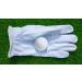 Premium Cabretta Leather Golf Gloves (5 Pack) for Right-Handed Men - Size Large - Buy Online on GoSupps.com