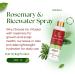 Rice Water & Rosemary Spray 4 in 1 6.8 fl oz - Buy Online on GoSupps.com