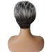 YBY Fashionable Gray & White Gradient Short Wigs for Women | Perfect for Daily & Party Wear - Buy Online on GoSupps.com