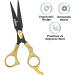 KINZIO Professional Hair Scissor - Stainless Steel Hair Cutting Shears for Salon Barbers - 6 inch - Buy Online on GoSupps.com