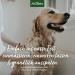AniForte Fellharmonie Dog Shampoo Sensitive with Aloe Vera 200ml - Gentle Care for Sensitive Dogs Easy-Combing Fur Dye & Perfume-Free - Buy Online on GoSupps.com