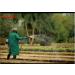 Out of Africa Premium Espresso Ground Coffee 100% Arabica - 250g - Buy Online on GoSupps.com