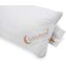 Buy Sleep Moon Fairytale Aloe Vera Pillow 40x80 cm - Allergy-Friendly Soft Cotton Washable - Made in Germany - Buy Online on GoSupps.com