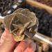 Natural Beautiful Quartz Desert Rose Crystal Selenite Raw Stones Specimens Rough Gem Stone Mineral Specimen - Buy Online on GoSupps.com