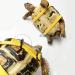 Ebamaz Leather Harness Strap for Tortoise Turtle Leash Pet Walking Lead Control Rope Chest Collar (M) - Buy Online on GoSupps.com