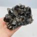 Room Decoration Natural Raw Crystal Stone Black Backbone Cluster for Fengshui (Size : 50-100g) - Buy Online on GoSupps.com