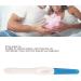 Fake Positive Pregnancy Test - Hilarious Prank Prop for Jokes & Gags | International Shipping - Buy Online on GoSupps.com