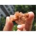 Natural Rare Aragonite Quartz Crystal Cluster Shape Rough Stone Nepheline Home Decor Gifts Beautiful Natural Luster (Size : 10pcs) - Buy Online on GoSupps.com