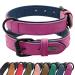 Didog dog collar made of soft padded leather breathable hard-wearing leather dog collar with adjustable stainless metal buckle for medium-sized and large dogs purple m m: 27-33 cm purple