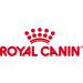 Royal Canin Veterinary Gastrointestinal Dry Cat Food | 4 Pack (4 x 400g) for Gastrointestinal Health | High Acceptance | 1.6 kg - Buy Online on GoSupps.com