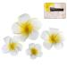 4pcs Hawaiian Plumeria Flower Foam Hair Clip Beach Hair Accessories for Bridal Wedding Party Beach Vacation Outfit Dress