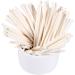  Itonash Colored Lollipop Sticks Lollipop Sticks Candy Sticks for Making Sweet Chocolate Candies Melted Candies Chocolates. (White) - Buy Online on GoSupps.com