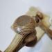 Portable Ergonomic Wooden Hand Massage Roller 7 | Enhance Relaxation & Stress Relief - Shop Now - Buy Online on GoSupps.com