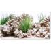 AMTRA WONDER - Aquarium poster background aquarium decoration decorative poster with double print format 30x60cm - Buy Online on GoSupps.com