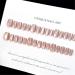 TQUXNGA Cats Eye Champagne Artificial Nails French Tip False Nails Detachable Press On Nail Full Cover False Nails for Women - Buy Online on GoSupps.com