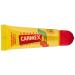 Carmex Cherry Lip Balm Tube Pack of 12 (12 x 10 g)