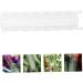 Balacoo 3 Pcs Pentagram Mold Garden Key Hider Plastic Cucumber Vegimite an Fittings Fruit Vegetable The Pet - Buy Online on GoSupps.com
