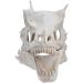 Scary Halloween Mask Latex Simulation Dinosaur Skull Mask Head Cover Halloween Skull Mask Scary Latex Full Head Realistic Masks for Halloween Costume Party Cosplay - Buy Online on GoSupps.com