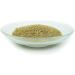Bellfor Fitness Powder for Dogs 80g | Natural Protein Supplement for Muscle Building & Preservation | Insect Protein Amino Acids - Buy Online on GoSupps.com