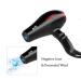 Berta Professional Ceramic Hair Dryer - 1875W Negative Ionic Blow Dryer with Nozzle - 2 Speed & 3 Heat Settings - Salon Quality AC Motor - Buy Online on GoSupps.com