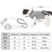 BT Bear Pet Surgery Recovery Suits Cats Clothes Abdominal Wounds Skin Diseases E-Collar Alternative Cotton Cat Shirt for Cats Puppy Small Dogs (XXS-Back length 25cm) XXS--Back length 25cm Chest--27cm - Buy Online on GoSupps.com