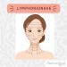 Stephanie Franck Beauty - Double Pack Facial Dry Massage Brushes with Solid Horsehair & Soft Goat Hair for a Radiant Complexion - Buy Online on GoSupps.com