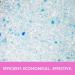 Ultra Pet Silica Gel Crystal Cat Litter - Odor Control & Gentle on Paws - Buy Online on GoSupps.com