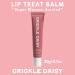 Crickle Daisy Lip Treat Balm - Hydrating & Nourishing Lip Balm with Avocado Olive and Coconut Oils - Softening Lip Moisturizer & Protection for Very Dry Lips - Sugar Blossom Scented 0.7oz - Buy Online on GoSupps.com