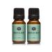 P&J Trading Fragrance Oil | Winter Mint Oil 10ml 2pk - Candle Scents for Candle Making Freshie Scents Soap Making Supplies Diffuser Oil Scents