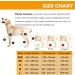 Petmingham Dog Knee Brace for ACL Knee Cap Dislocation Arthritis - Joint Pain Muscle Sore - Better Recovery - Reduces Pain and Inflammation -Adjustable Dog Rear Leg Braces (Size: XXS) XX-Small - Buy Online on GoSupps.com