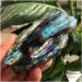 Collection Beautiful Natural Labrador Stone Rough Stone Natural gem Reiki Healing (Size : 80-90g) - Buy Online on GoSupps.com