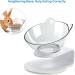 Cat Bowl with Stand - Elevated Cat Feeder for Neck Pain Relief - Ideal for Cats and Small Dogs - Single Bowl - Buy Online on GoSupps.com