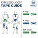 10x2 Kinesiotape Precut Set - Waterproof & Elastic - Dark Blue + Green - 25 Strips ea. - Extra Strong Kinesiology Tape - Buy Online on GoSupps.com