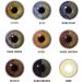 ChromaView Eyes of Harmony Light Green Colored Contact Lenses - Daily No Prescription Needed | International Shipping - Buy Online on GoSupps.com