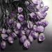 raw Crystals Stones Amethyst Crystal pendent for Home Decoration 1PC - Buy Online on GoSupps.com