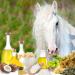 Blissful Horses Summer Care Sun Butter - Gentle Horse Sunscreen Easy-to-Apply Equine Sunblock 16 oz - All Day Sun Protection for Horses - Buy Online on GoSupps.com