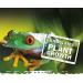 Exo Terra Natural Light - 14W T8 Fluorescent Tube for Reptiles Amphibians & Plants - Ideal Daylight - Buy Online on GoSupps.com