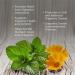 Buy Antaxid Calendula & Mint - 60 Chewable Tabs for Stomach Relief | Soothing Acid Reflux & Fullness - Buy Online on GoSupps.com