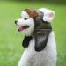 Dog Aviator Hat | Winter Pilot Hat with Ear Flaps for Cold Weather | Stylish Coffee Dog Gear - Buy Online on GoSupps.com