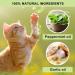 SUAVEC Cat Repellent - Outdoor and Indoor Dog and Cat Deterrent - 8 Pack - Buy Online on GoSupps.com