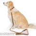 YUDOTE Ultra-Soft Natural Cotton Dog Collar for Medium Dogs - Sensitive Skin Friendly - Brown M (1 Pack) - Buy Online on GoSupps.com
