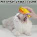Cat & Dog Brush with Water Tank - Effortless Hair Removal & Massage for All Breeds - Buy Online on GoSupps.com